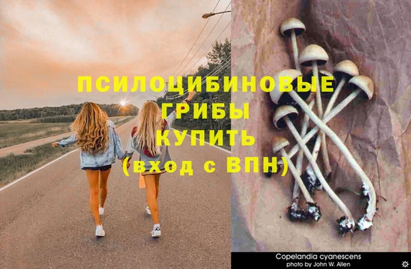 кокаин премиум Богданович