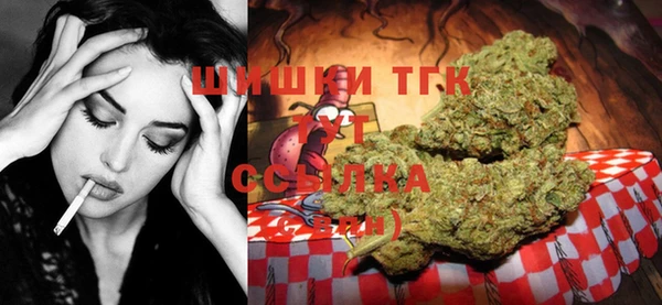 соль ск Белокуриха